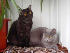 Кимберли и ее дочь